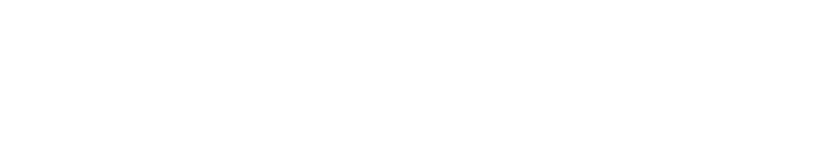 LOGO-WOLF-MEDIA